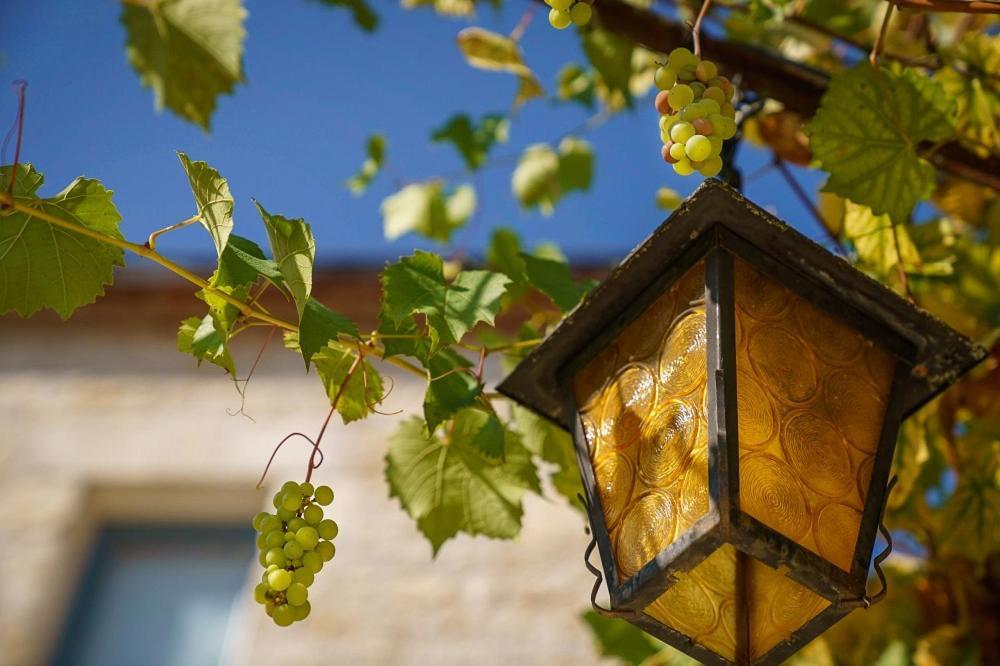 Willa Chateau Du Raysse Cazoules Zewnętrze zdjęcie